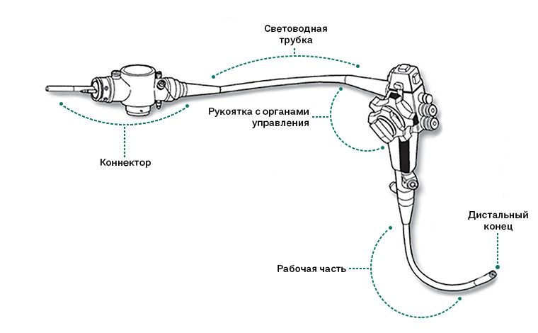 Схема строения гибкого эндоскопа