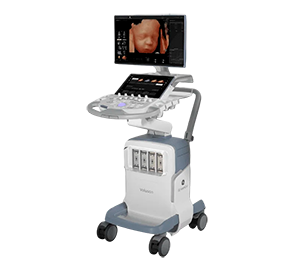 GE Healthcare Voluson Signature 20