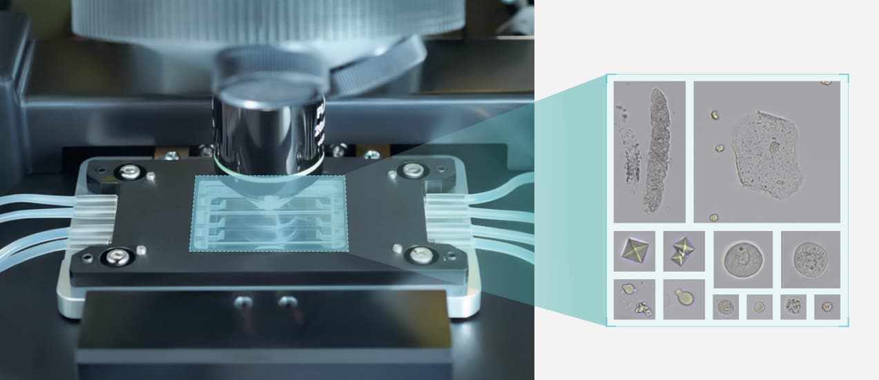 цифровая визуализация