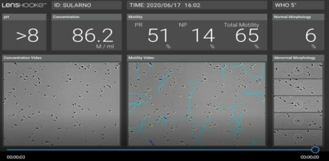 Пример результата исследования