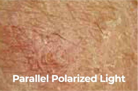 Parallel Paralized light