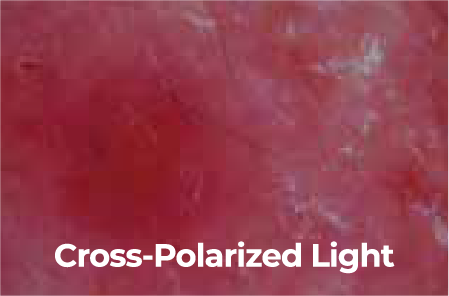 Cross Poralized light