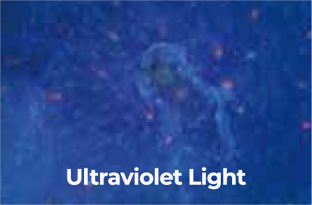 Ultraviolet light