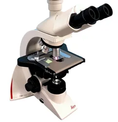 DM1000