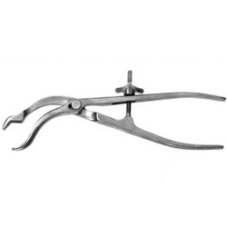 Костодержатель