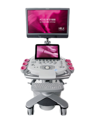 Acuson S1000