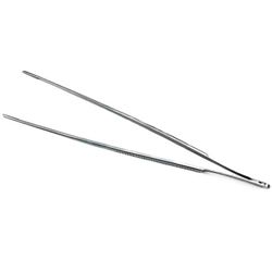 Анатомический