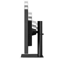 Gemini Series 12 MP Large Format Display