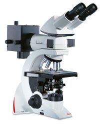 DM1000
