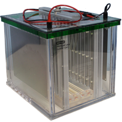 Protean Plus Dodeca cell