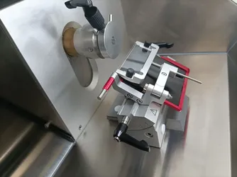 6250
