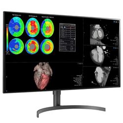 32″ Color 8MP Large Format Display