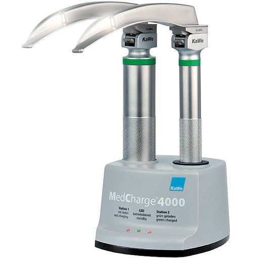 Macintosh Megalight F.O.