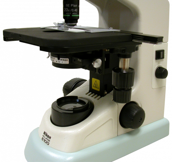 nikon e100 nikon binocular microscope
