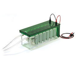 Mini-Protean 3 Dodeca