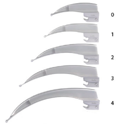 Macintosh Megalight F.O.