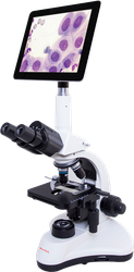 MX 100