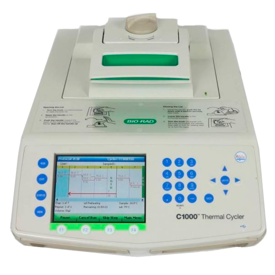 Ц 1000. Амплификатор cfx96 c1000. Bio-rad c1000. Амплификатор Bio rad. Bio rad cfx96 c1000 Thermal Cycler.