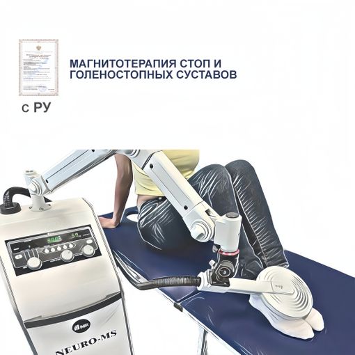 Neuro МS