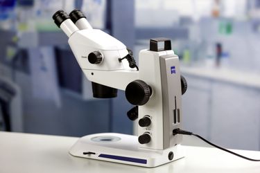 Stemi 305