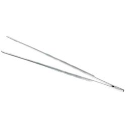 Анатомический