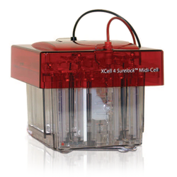 XCell SureLock Midi-Cell