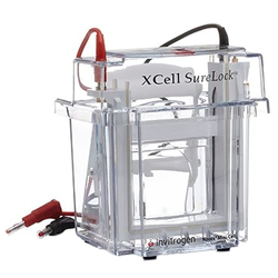 XCell SureLock Mini-Cell