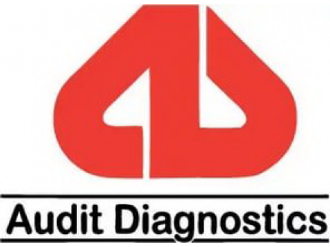 Audit Diagnostics