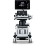Hera W10