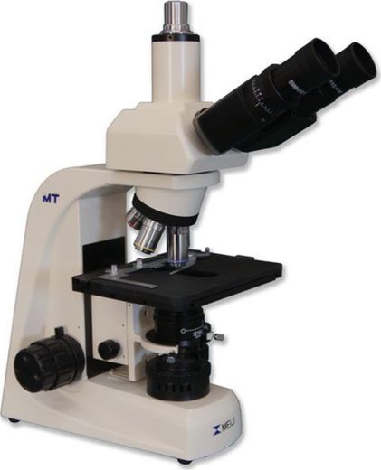 MT 5300