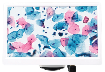 Vision CAM V1200 HD