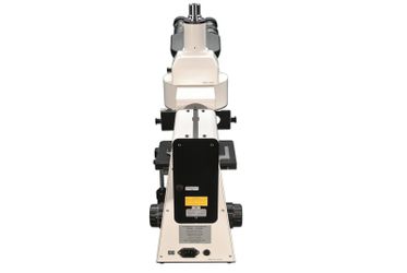 MT 6300CL