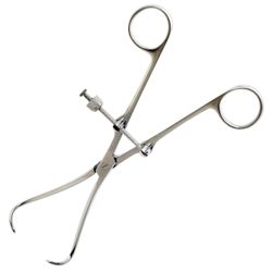 Костодержатель прямой