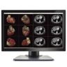 Image Systems Gemini 6MP Large Format Display
