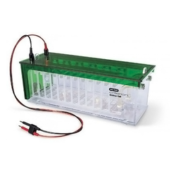 Criterion Dodeca Cell