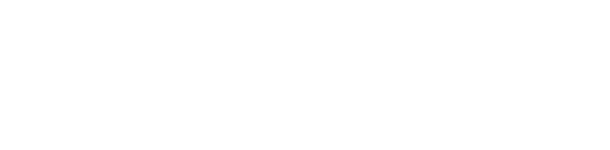 Natus Medical Incorporated