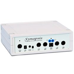 Синапсис Стандартный