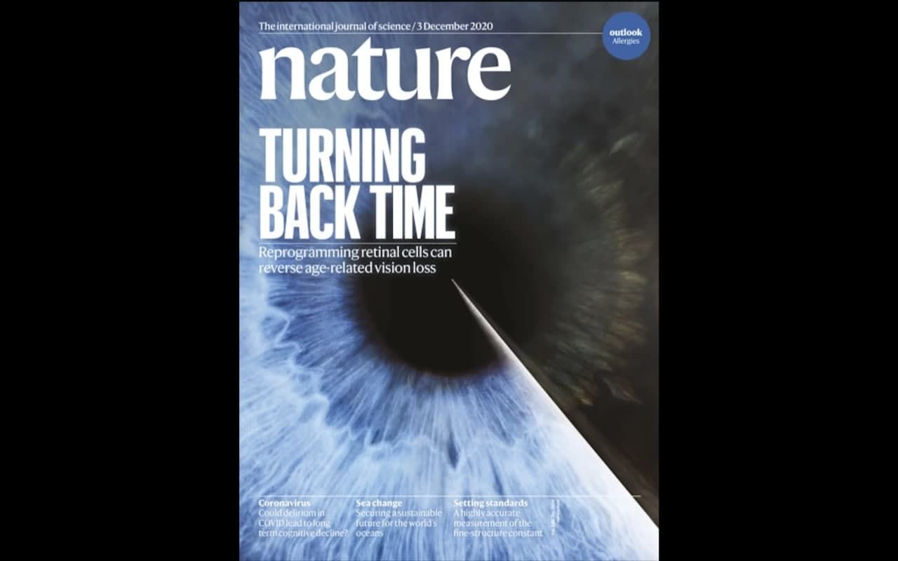 Журнал NATURE декабрь 2020: Главные материалы