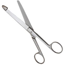 прямые анатомические кишечные