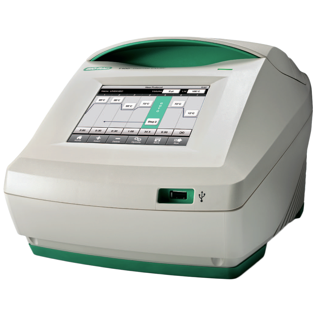 Амплификатор zenless. Амплификатор bio rad. пцр амплификатор bio rad. t100 bio rad. дт-96 амплификатор.