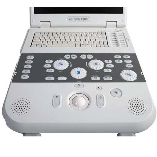 Acuson P300
