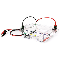 Wide Mini-Sub Cell GT