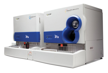 Iris iRicell