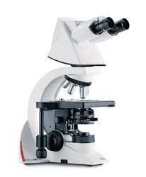 DM1000