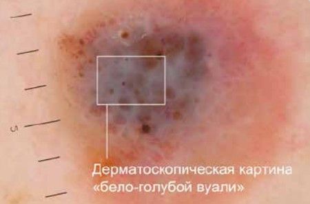 Работа с изображением